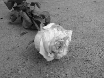 $0128121653.webp