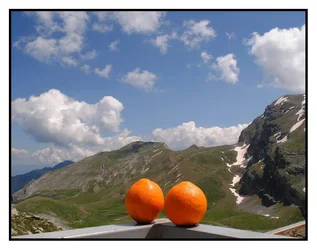 $Naranjas en las montanas.webp