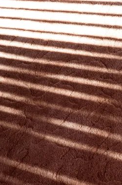 $Carpet.webp