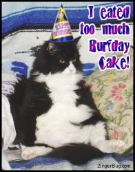 $too_much_burfday_cake_cat.jpg