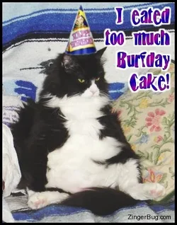 $too_much_burfday_cake_cat.webp