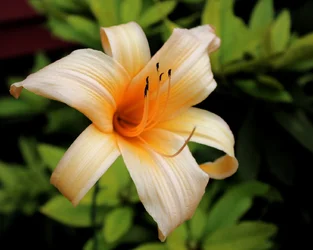 $IMG_0095.webp $IMG_0095.webp