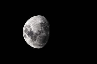$LK_Moonshots-1.webp