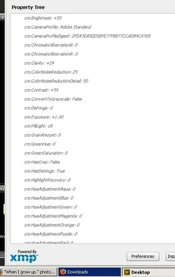 $exif.webp