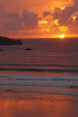 Beach.webp