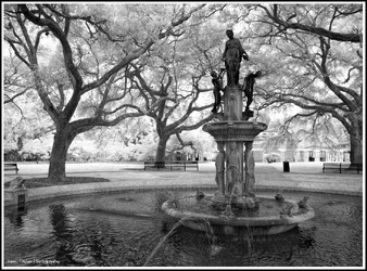 DSC_0131 sm bw.webp