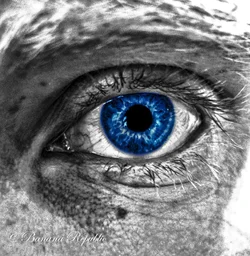 Eye.webp