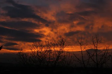 IMG_1453.webp
