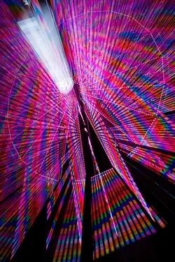 33927601311_8a2ecd7fd2_c.webp