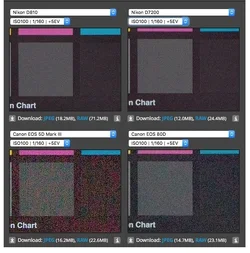 Sony Sensor vs Canon sensors.webp