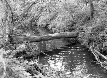 645b&w002.webp 645b&w002.webp
