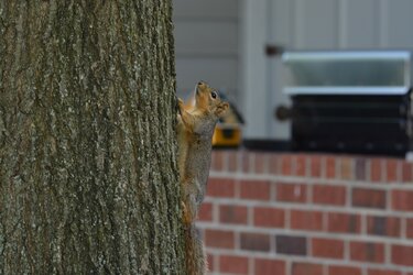 DSC_0097.JPG