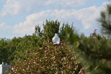 DSC_0028.JPG