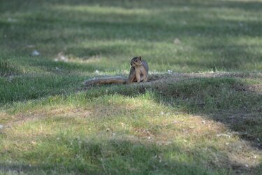 DSC_0045.JPG