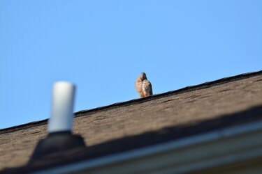 DSC_0051.JPG