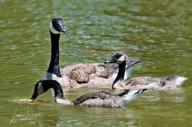 400 test-42-Edit-2.webp