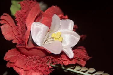 _MG_0360.webp