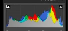 1.webp