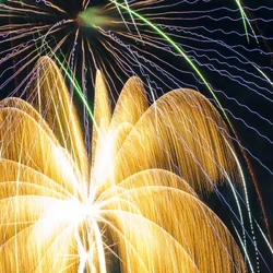 golden palmsweb.webp golden palmsweb.webp
