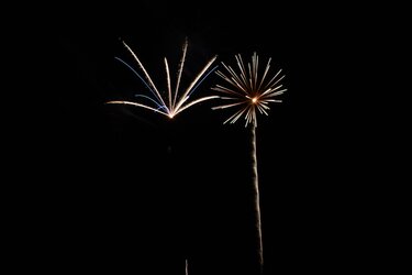 Firework 3.jpg