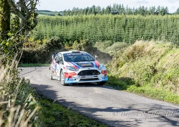 Rally Car-2.webp