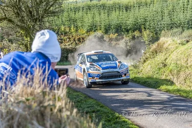 Rally Car.webp