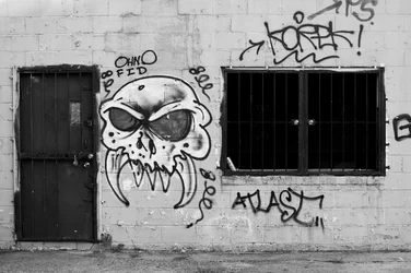 $northside 3.webp