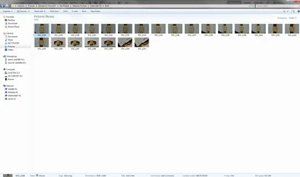 $Untitled-6.webp