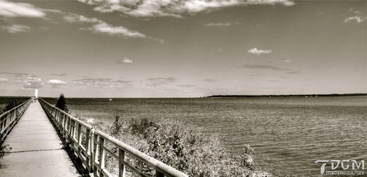 $DSC_0602_tonemapped.webp