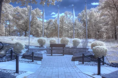 $DPP_0006_7_8_tonemapped.webp