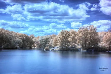 $DPP_0012_3_4_tonemapped.webp