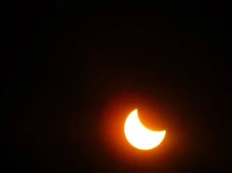 DSCN0939.webp
