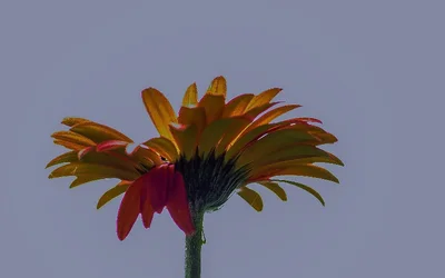_DSC6147-Edit-Edit-Edit.webp