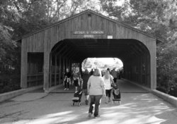 coveredbridge.jpg