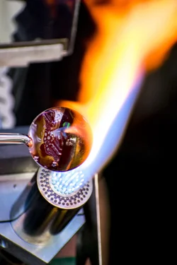 DSC_0053a.webp