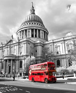 Classic-bus-&-skateboarder.webp