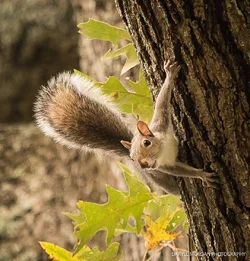 Random Nature - Daryll Morgan Photography-2.webp