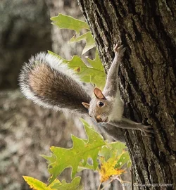 Random Nature - Daryll Morgan Photography-3.webp