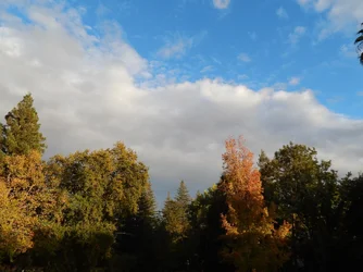DSCN1230.webp