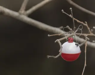 Ornament5.webp