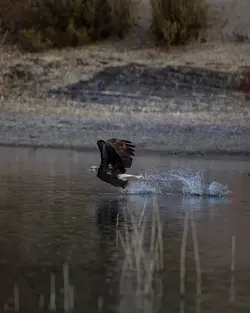 IMG_4641test.webp