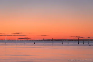 VA Beach w Julie - Daryll Morgan Arts-10.webp