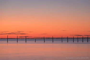 VA Beach w Julie - Daryll Morgan Arts-11.webp