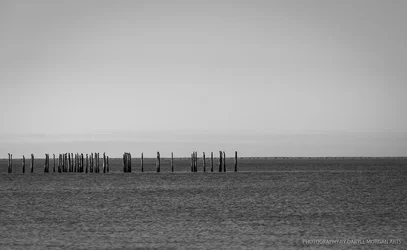 VA Beach w Julie - Daryll Morgan Arts-1.webp