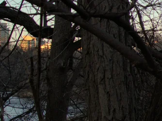 DSC00543-1b-Crop01-1200-C1.webp