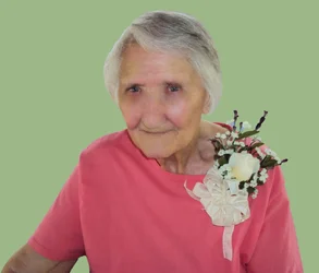 $granny sage green background.webp