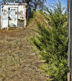 $Dairy Door Textures2.webp