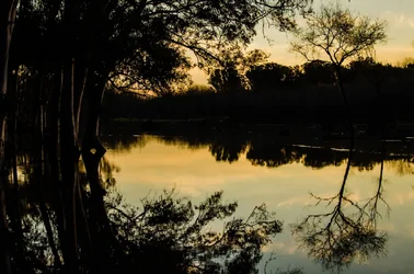 $Ezeiza-Sunset-1-2.webp