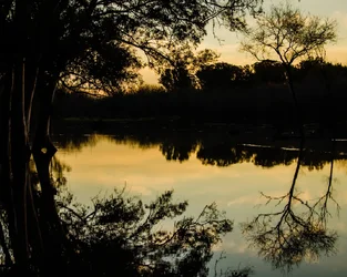 $Ezeiza-Sunset-4x5-1.webp $Ezeiza-Sunset-4x5-1.webp