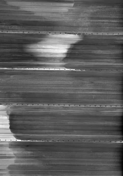 $Confusion B&W small.webp
